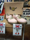 Dr Martens Mary Jane Pink QQ Leather Size 8